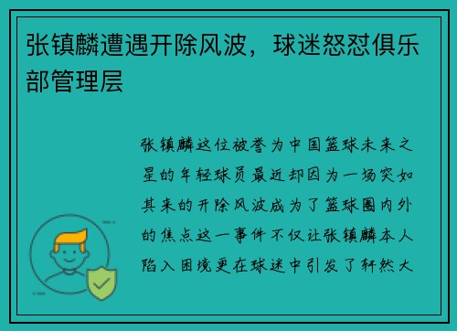 张镇麟遭遇开除风波，球迷怒怼俱乐部管理层
