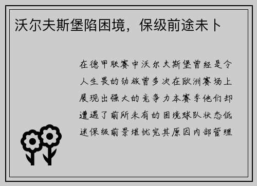 沃尔夫斯堡陷困境，保级前途未卜