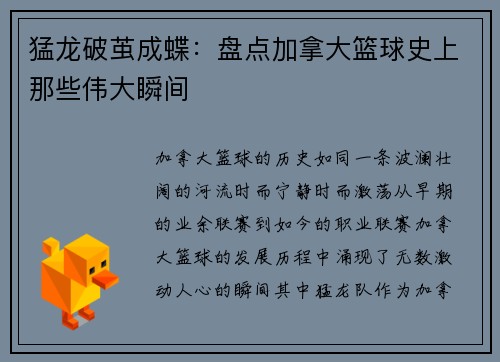 猛龙破茧成蝶：盘点加拿大篮球史上那些伟大瞬间