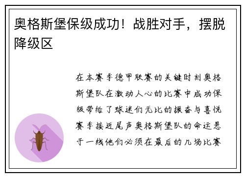 奥格斯堡保级成功！战胜对手，摆脱降级区